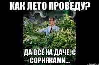 Как лето проведу? да всё на даче, с сорняками...