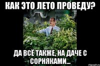 Как это лето проведу? да всё также, на даче с сорняками...