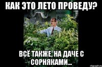 Как это лето проведу? всё также, на даче с сорняками...
