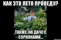 Как это лето проведу? также, на даче с сорняками...