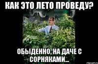 Как это лето проведу? обыденно, на даче с сорняками...