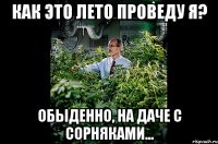 Как это лето проведу я? обыденно, на даче с сорняками...