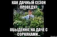 Как дачный сезон проведу? обыденно, на даче с сорняками...