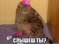  СЛЫШЕШ ТЫ?