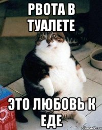 рвота в туалете это любовь к еде