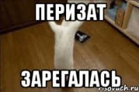 Перизат зарегалась