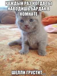 Каждый раз когда ты наводишь бардак в комнате Шелли грустит....