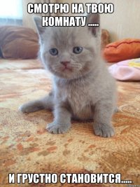 Смотрю на твою комнату ..... и грустно становится.....
