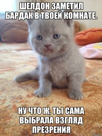 Шелдон заметил бардак в твоей комнате. ну что ж, ты сама выбрала взгляд презрения