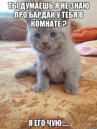 Ты думаешь я не знаю про бардак у тебя в комнате ? Я его чую.....