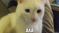 Дад