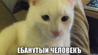  Ебанутый человекъ