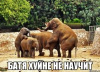  Батя хуйне не научит