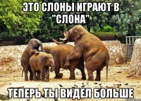 Это слоны играют в "слона" теперь ты видел больше