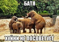 батя хуйни не посоветует