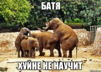 батя хуйне не научит
