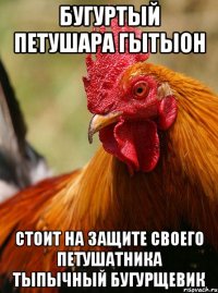 бугуртый петушара гытыон стоит на защите своего петушатника тыпычный бугурщевик