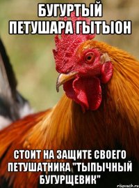 бугуртый петушара гытыон стоит на защите своего петушатника "тыпычный бугурщевик"