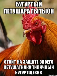 бугуртый петушара гытыон стоит на защите своего петушатника типичный бугуртщевик