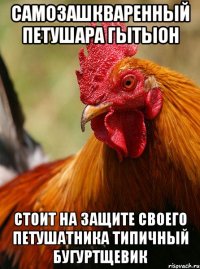 самозашкваренный петушара гытыон стоит на защите своего петушатника типичный бугуртщевик
