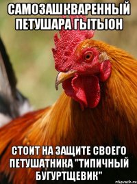 самозашкваренный петушара гытыон стоит на защите своего петушатника "типичный бугуртщевик"