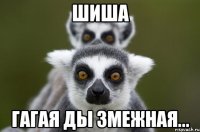 Шиша гагая ды змежная...