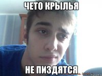 чето крылья не пиздятся