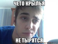 чето крылья не тырятся