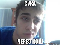 СУКА через КОШ