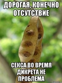 Дорогая, конечно отсутствие Секса во время дикрета не проблема