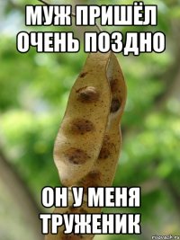 Муж пришёл очень поздно Он у меня труженик