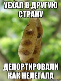 Уехал в другую страну Депортировали как нелегала