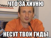 Что за хйуню Несут твои гиды