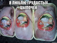 я люблю грудастых цыпочек 
