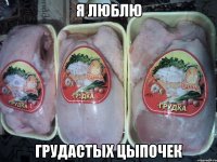 я люблю грудастых цыпочек