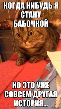 Когда нибудь я стану бабочкой Но это уже совсем другая история...