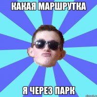 какая маршрутка я через парк