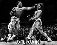  ах ты хамло!