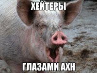Хейтеры Глазами АХН