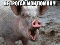 Не трогай мои помои!!! 