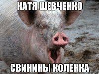 катя шевченко свинины коленка