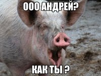Ооо Андрей? Как ты ?