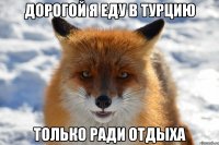 дорогой я еду в турцию только ради отдыха