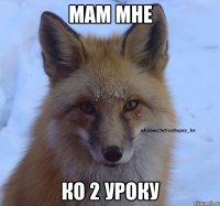 Мам мне Ко 2 уроку