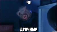 ЧЕ ДРОЧИМ?