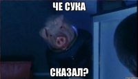 ЧЕ СУКА СКАЗАЛ?