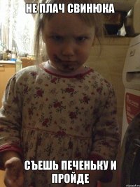 не плач свинюка съешь печеньку и пройде