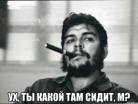  Ух, ты какой там сидит, м?