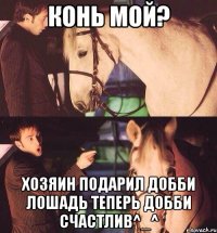 Конь мой? Хозяин подарил добби лошадь Теперь добби счастлив^_^
