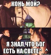 Конь мой? Я знал,что бог есть на свете^_^